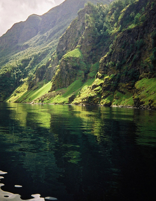 ��Ȼʲô����׌�����Y������