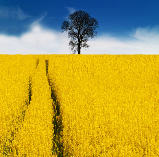 ��Ȼʲô����׌�����Y������