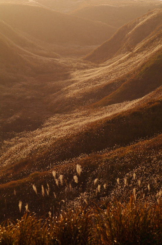 ��Ȼʲô����׌�����Y������