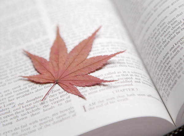 һ�~���������Ȼ