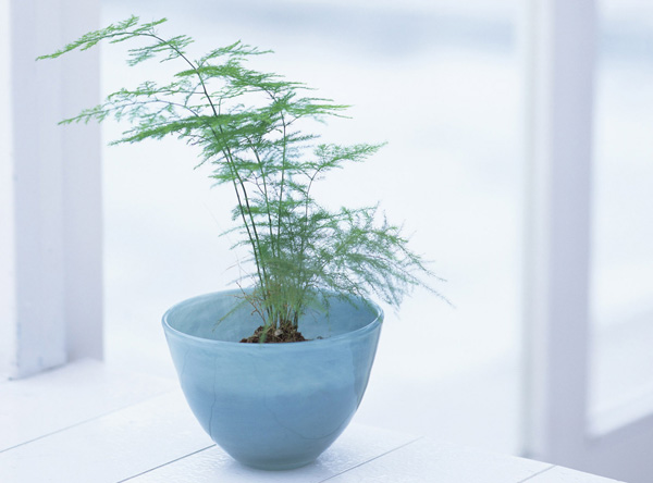 ����ƽƽ����������