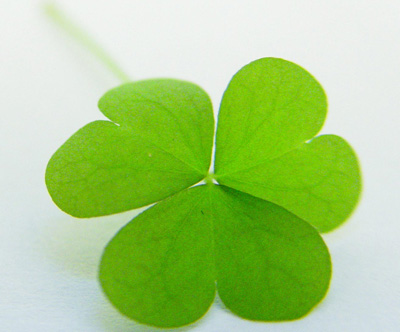 �����x��