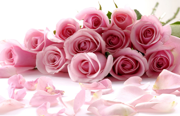 ��һ���ĉ������M����˼