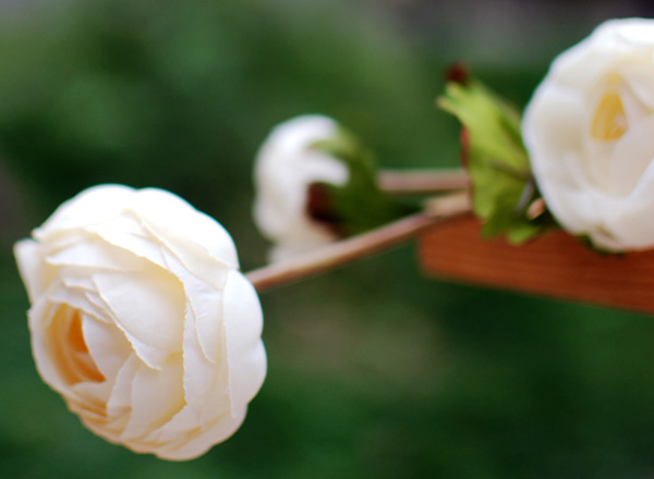 ��˼�ҡ��龉�\���t�mһ��ָ��