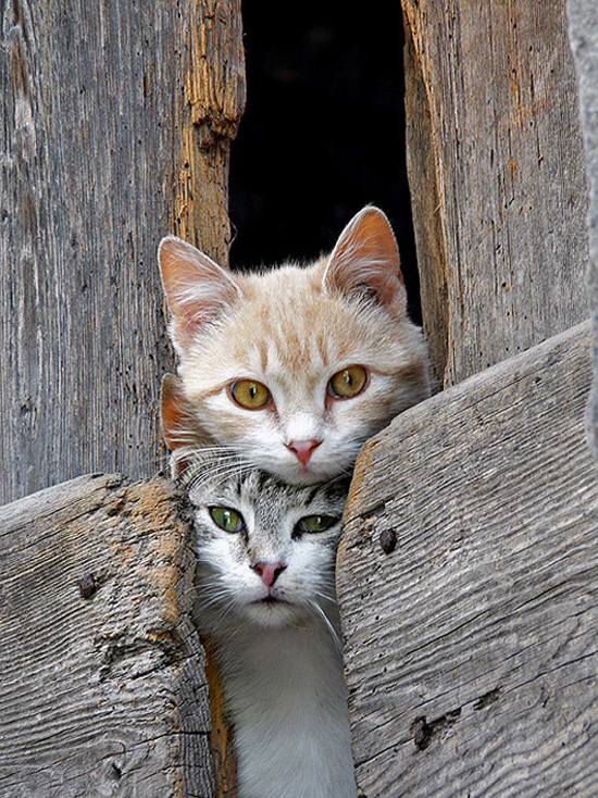 �Ҳ��Ҳ�Ҫ�@ô�ȣ�