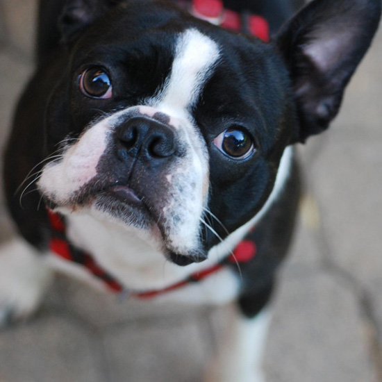 �Ҳ��Ҳ�Ҫ�@ô�ȣ�