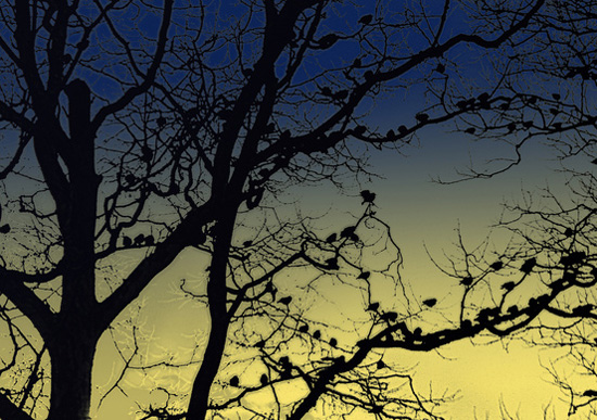 �Ҳ��Ҳ�Ҫ�@ô�ȣ�