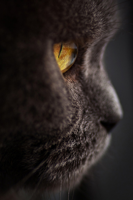 �Ҳ��Ҳ�Ҫ�@ô�ȣ�