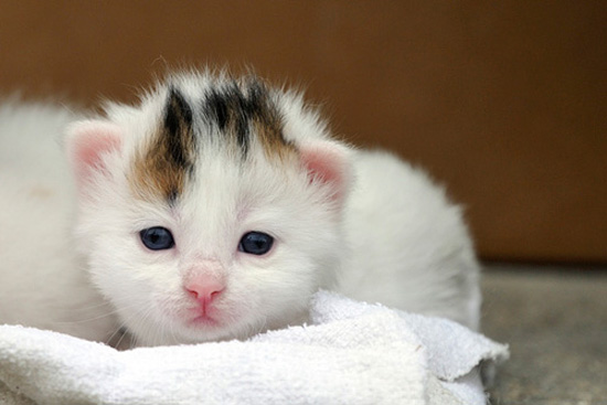 �Ҳ��Ҳ�Ҫ�@ô�ȣ�