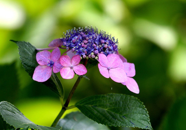 Ը�G����������һ��İ�ϻ�