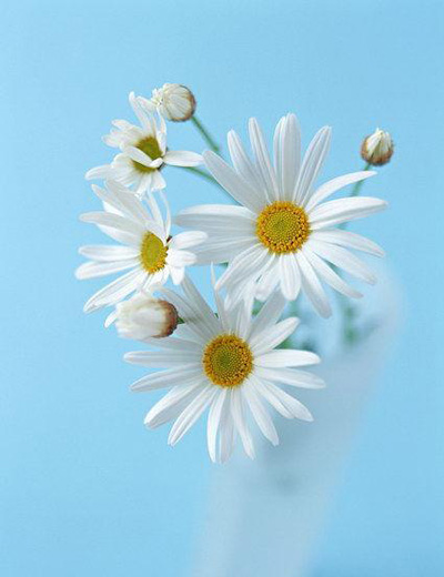 ����A���\���ҵ������裡