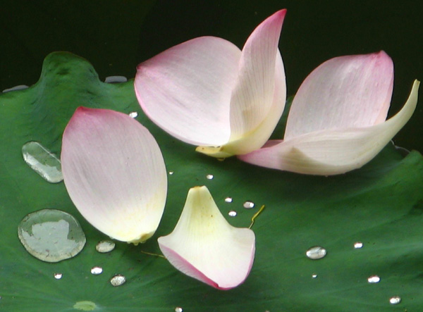 һ���L(f��ng)�m��һ������