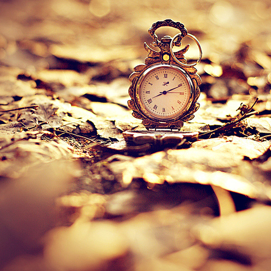 ���ӄף����������Ǟ������w��(du��)δ֪�Ŀ֑�