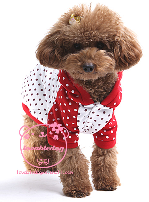 ������b��������ݮ���b