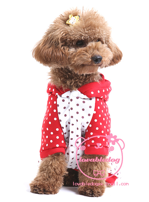 ������b��������ݮ���b