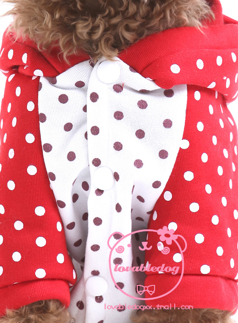 ������b��������ݮ���b