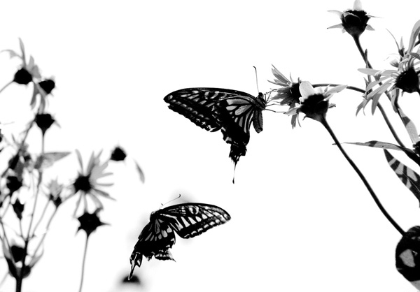 ���L�գ���������