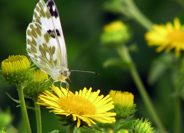 ���w������������˼һ�|��