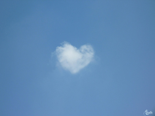 �������� �����������ͣ����