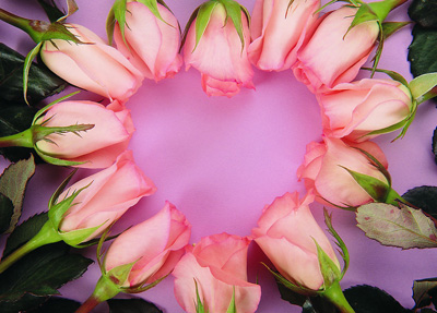 愛可以簡簡單單,但不能隨隨便便