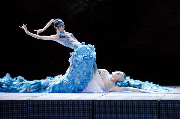 ����Ƽ��һ���赸�ҵĴ���