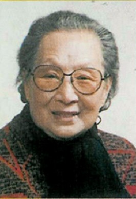 ��������ˇ�g�҅��������� ����95�q