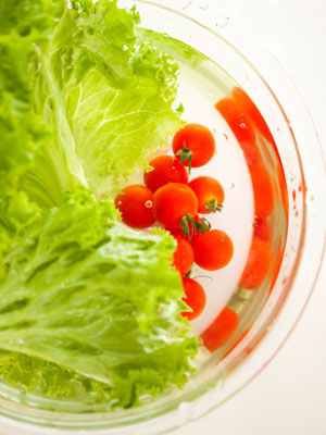 �ʳ�p�� �����������w������