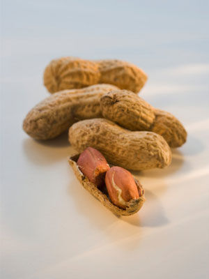 ʳ������ 1��˦��ʮ����