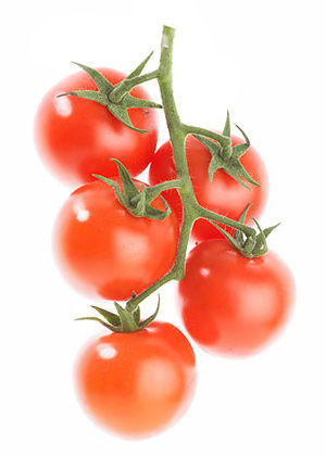 5�N��Ȼʳ�� ���㾏��Q�����w����