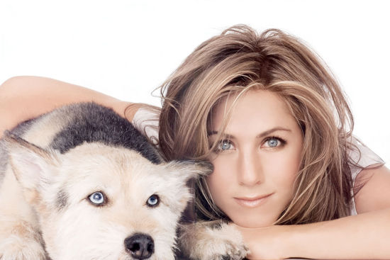 ���ǽ����ƽ3��ۼy ��Ц���۲�����