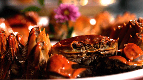 ������ϵ��Ї���չʾ��ʳ�����������ζ