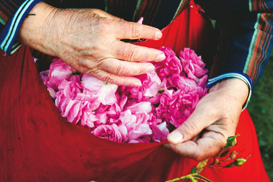 õ����ϵ����������