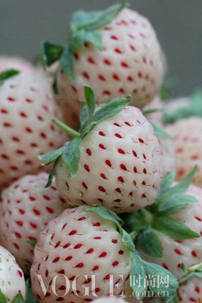 �B������ʺ�ݮ�� �Գ����ϰ�������