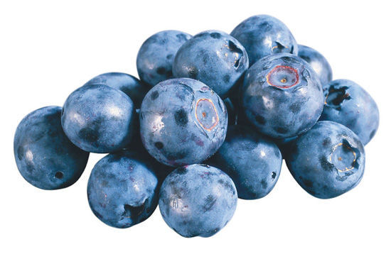 �B������ʺ�ݮ�� �Գ����ϰ�������