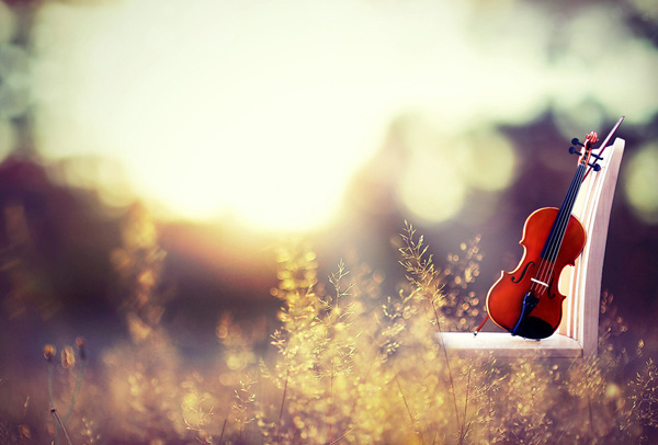 ������Щ������ļ�į