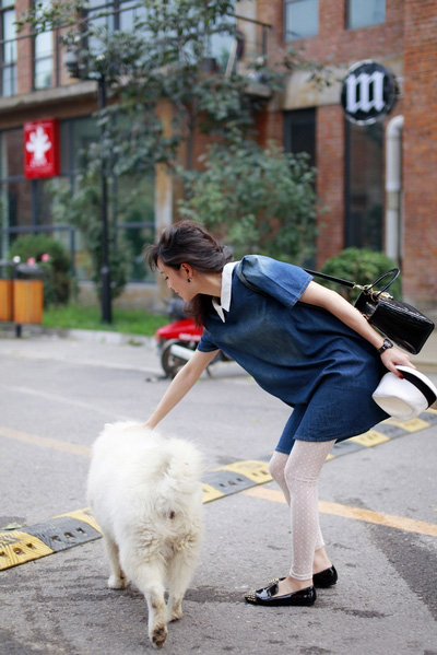 ���o��Ӣ��ϵ���� �弃ɭϵС����