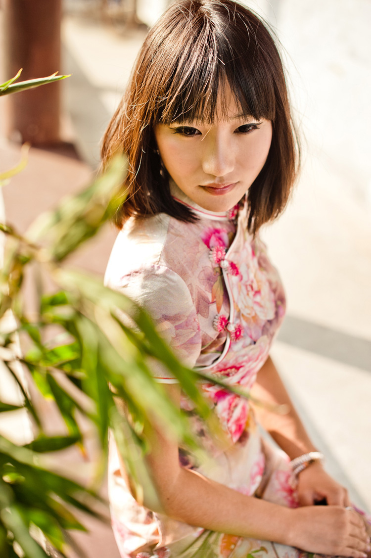 �����w�wɭ��ϵ���ی��棺�������