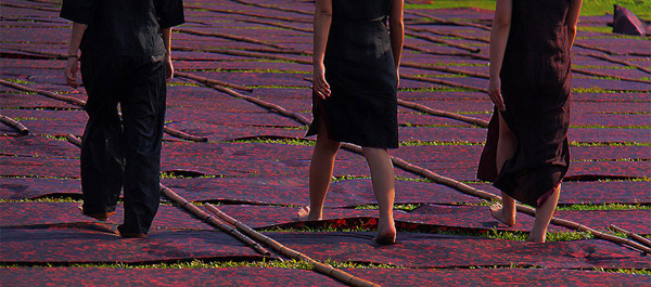 ��Ļ������������ֹ�����