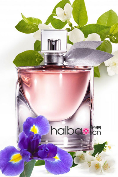 ���_2013�������v