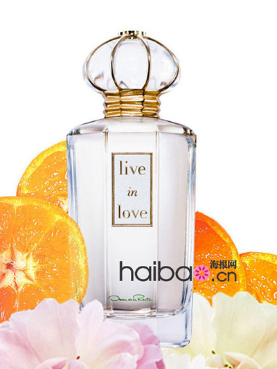 ���_2013�������v