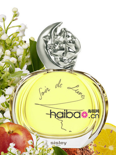 ���_2013�������v