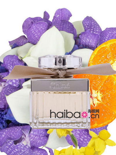 ���_2013�������v