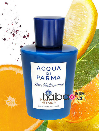 ���_2013�������v