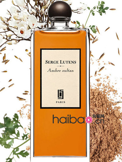 ���_2013�������v