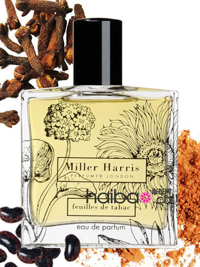 ���_2013�������v