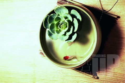 �h�� �|������܌W