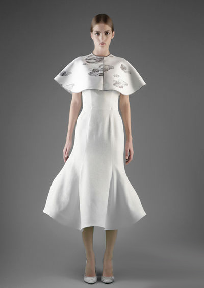 2013��������ȹ �������݆��