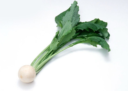 7�N�߲�׌����۲��L��