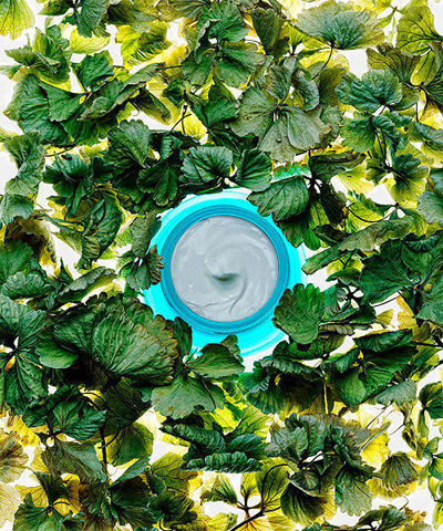 ��Ȼֲ���o�wƷһ�����Æ᣿