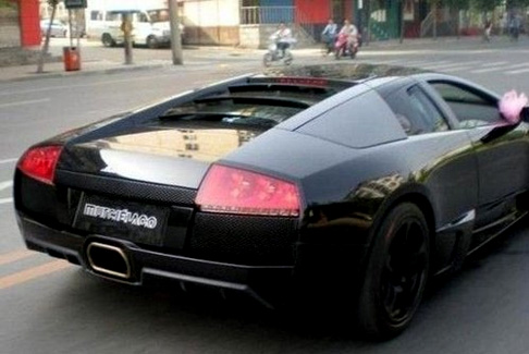 ��ҕ���֏��ټ�50���q�F�V�������ؔ ��Y�ع�